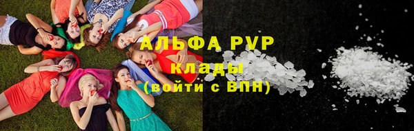 прущая мука Пересвет
