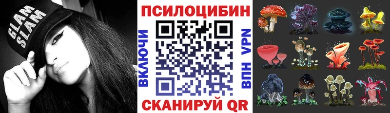 Псилоцибиновые грибы GOLDEN TEACHER купить закладку Котлас