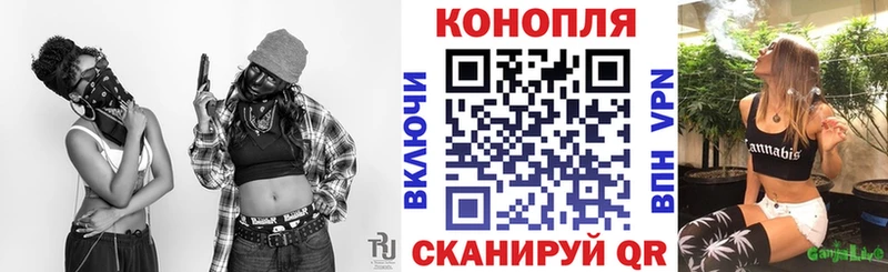 Бошки Шишки MAZAR купить наркоту Котлас