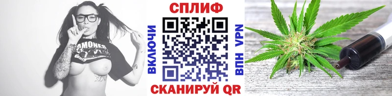 Каннабис OG Kush Котлас
